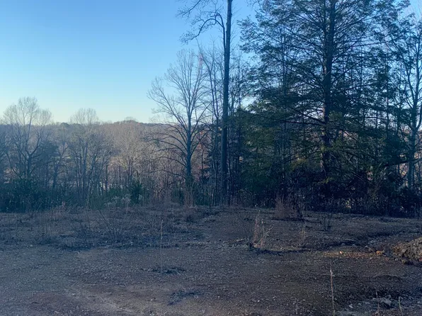 3515 State Highway 1232, Gray, KY 40734