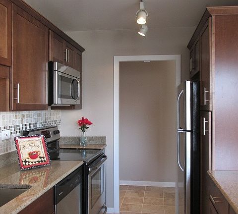 3rd image of 1255 N Sandburg Ter Unit 1812E