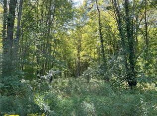 Peterson Rd, Jefferson, OH 44047