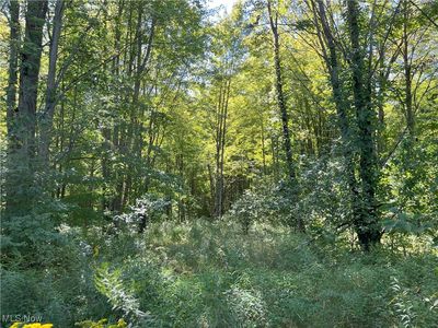 Peterson Rd, Jefferson, OH, 44047