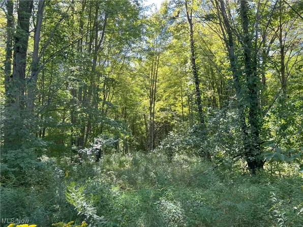 Peterson Rd, Jefferson, OH 44047