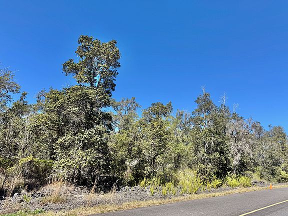 5th image of Orchid Pkwy Lot 28