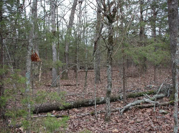 LOT 38 Jeb Rd, Flippin, AR 72634