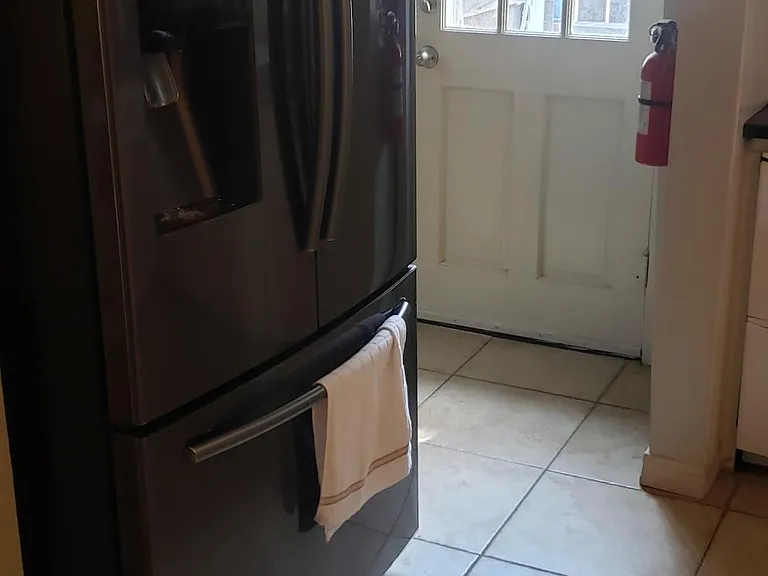 Refrigator with door to backyard