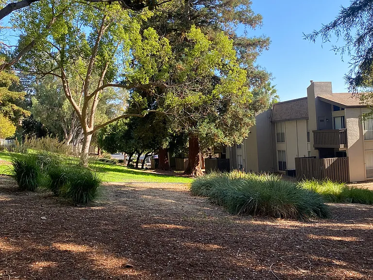 2 bed, 1.0 bath, 840 sqft, $2,395 — Photo 5