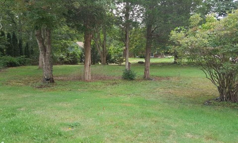 2nd image of 40A Elizabeth Cooper Dr
