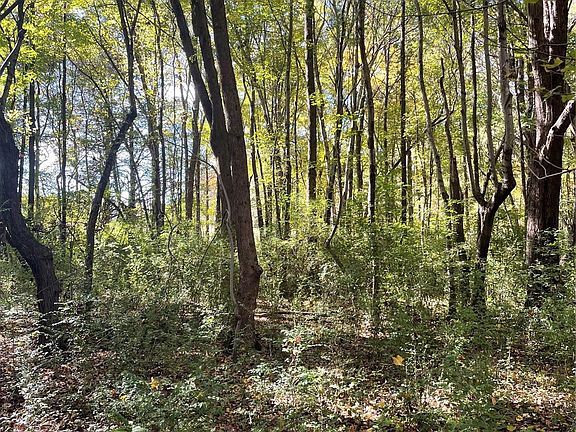 5th image of 0 Joes Rd