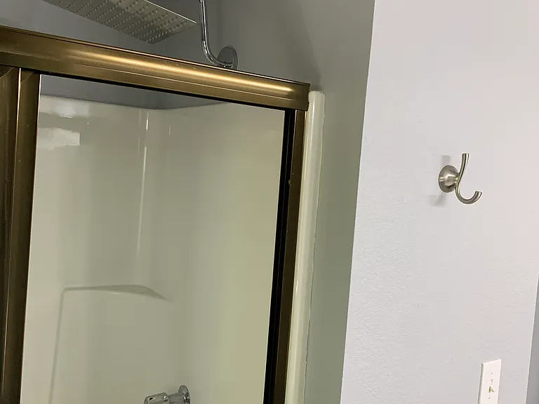 Primary Bathroom Shower