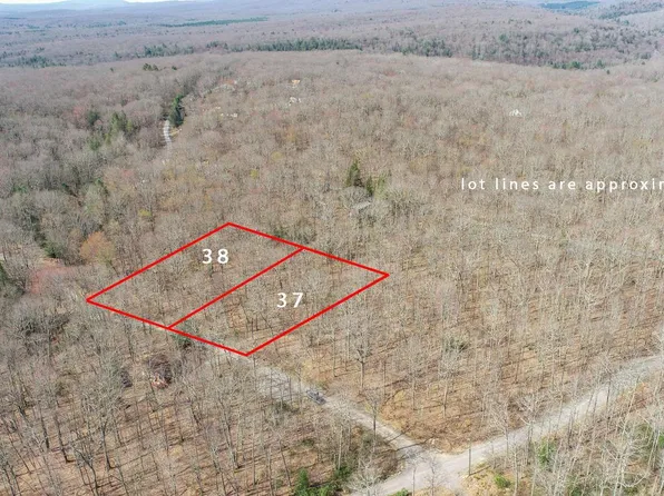 Lots 37 & 38 Fir Tree Dr, Oakland, MD 21550