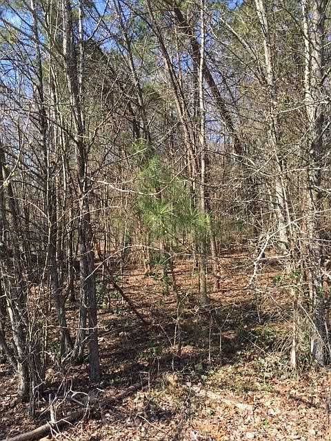 1st image of 7 Lakeside Ave Lot 7