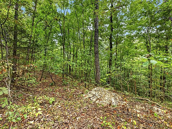 4th image of 0 Timber Ridge Ln Lot 23