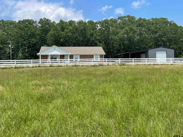 180 County Road 3320 North Dm #4802-1701, Avery, TX 75554