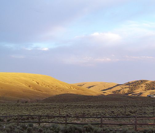 view from back porch