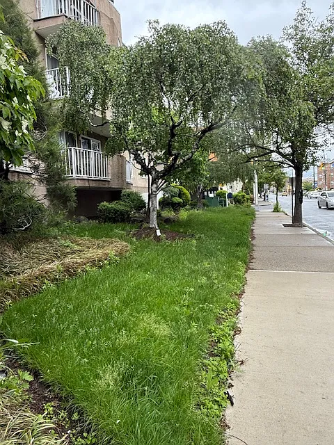 2 bed, 1050 sqft, $2,600 — Photo 2