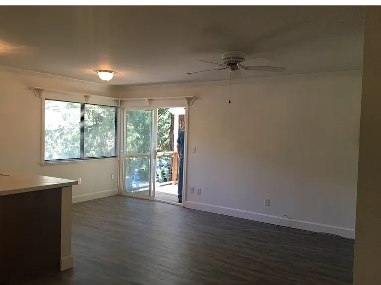 3301 Aspara Dr — Photo 13