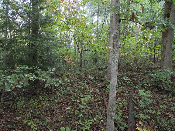 2nd image of 1300 Old Deer Lodge Pike