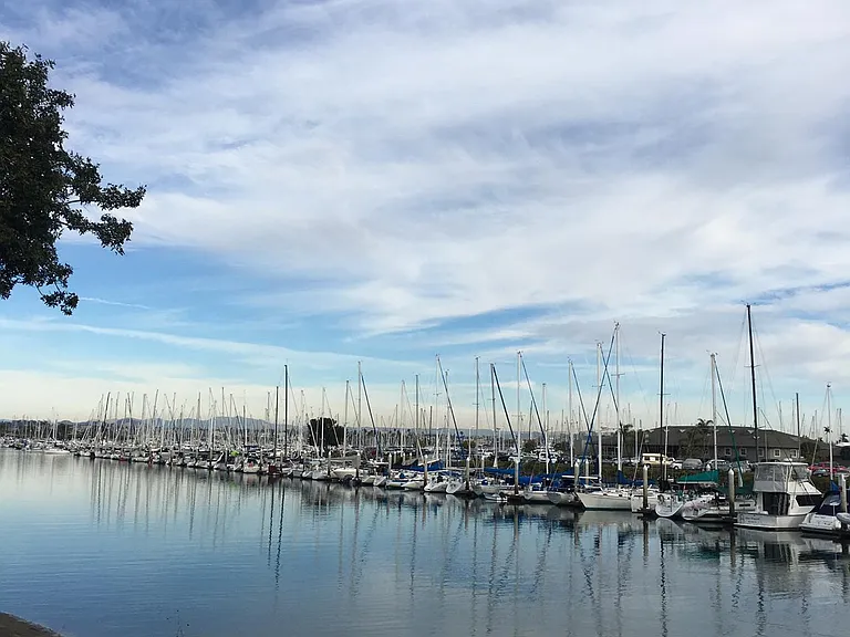 337 San Elijo St — Photo 5