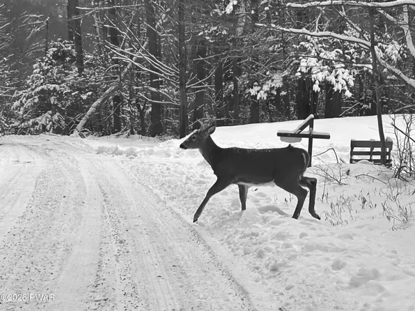 LOT 15 Game Trail Dr, Greentown, PA 18426