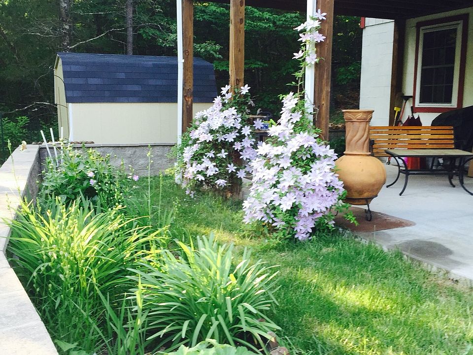 Springtime on the patio