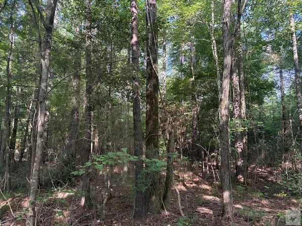 (undisclosed Address), Bivins, TX 75555