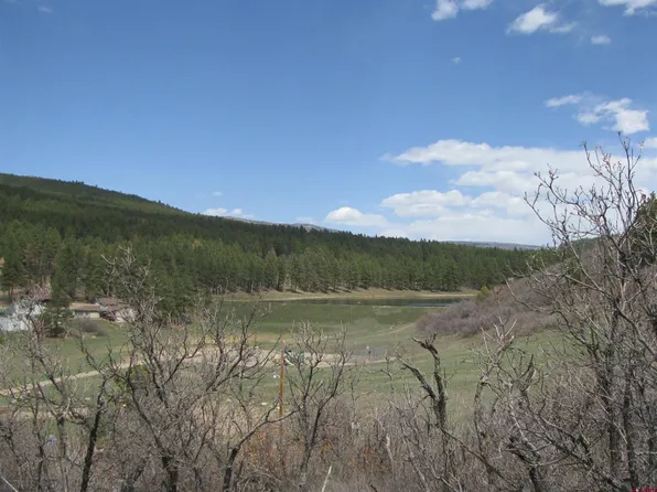 986 Alpine Forest, Bayfield, CO 81122