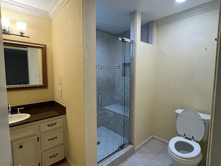 Primary Bath Large Shower