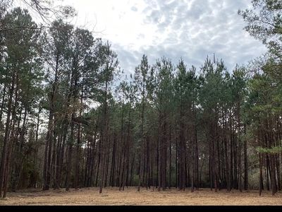 4116 Oak Rail Cir, Valdosta, GA, 31605