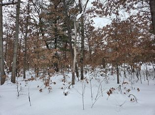 V/l W Mead St, Baldwin, MI 49304