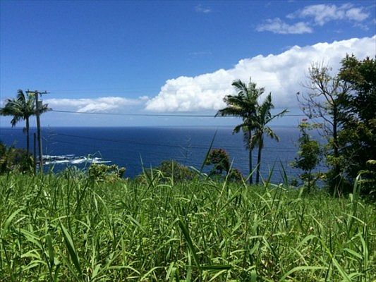 4th image of Old Mamalahoa Hwy Lot 4-A
