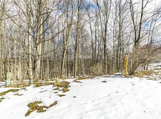 4570 Pauli Dr, Manlius, NY 13104