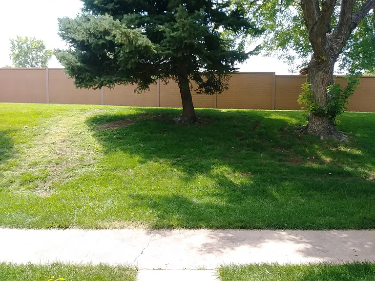 View From Front Door