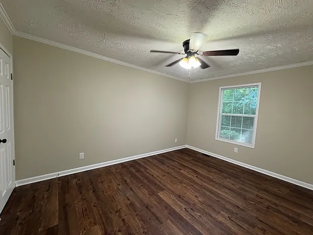 113 Cobalt Ln — Photo 10