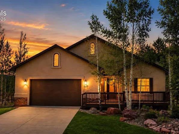 1157 Ptarmigan Dr, Woodland Park, CO 80863