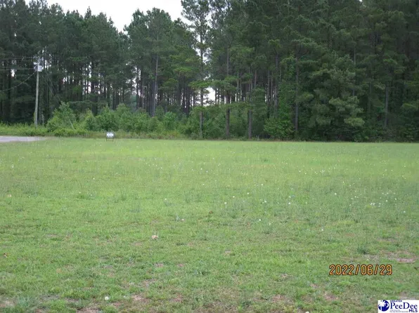 Gleason Rd, Mullins, SC 29574