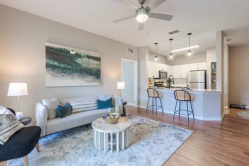 The Enclave at Tranquility Lake Apartments Photo 1