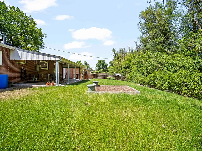 Backyard and garden