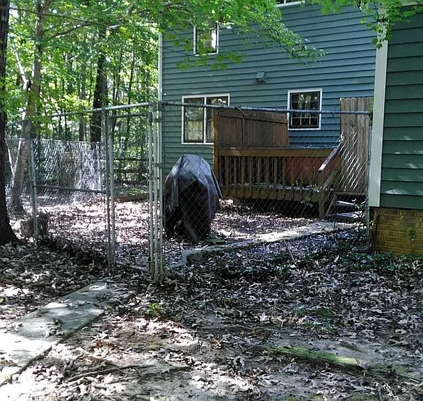 433 Raintree Dr — Photo 32