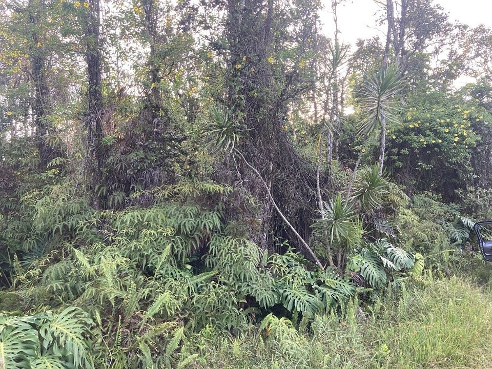 1st image of 15-1984 6th Ave #Lot1156