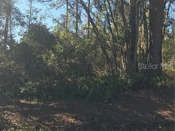 Hill Paper Ave #10, Deltona, FL 32725