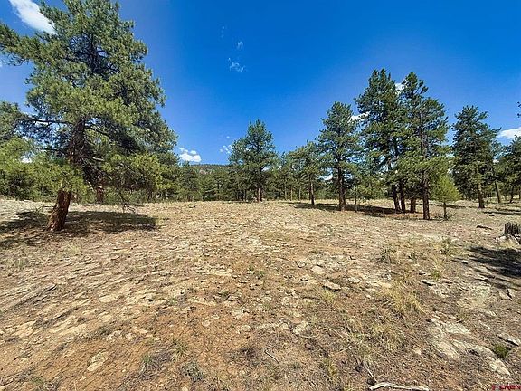 2nd image of 22 Church Creek Circle