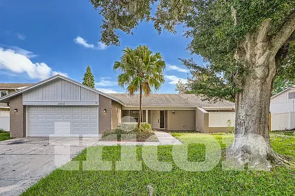 16325 Bonneville Drive Tampa FL — Photo 2