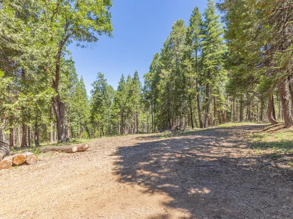 Grizzly Way, Arnold, CA 95223