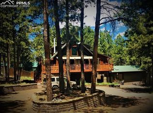 1220 W Bowman Ave, Woodland Park, CO 80863