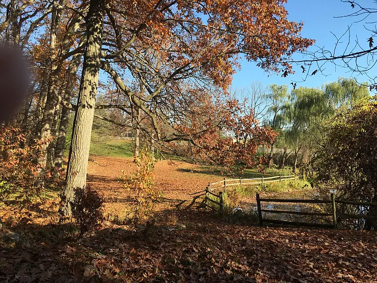 6117 Park Lake Rd — Photo 5