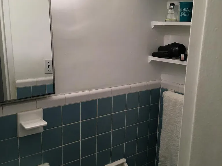 319 W 29th St #5A — Photo 6