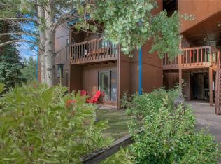 601 Rainbow Drive #541, Silverthorne, CO 80498