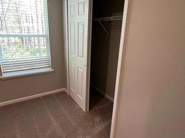 232 Mustard Hill Ct — Photo 52