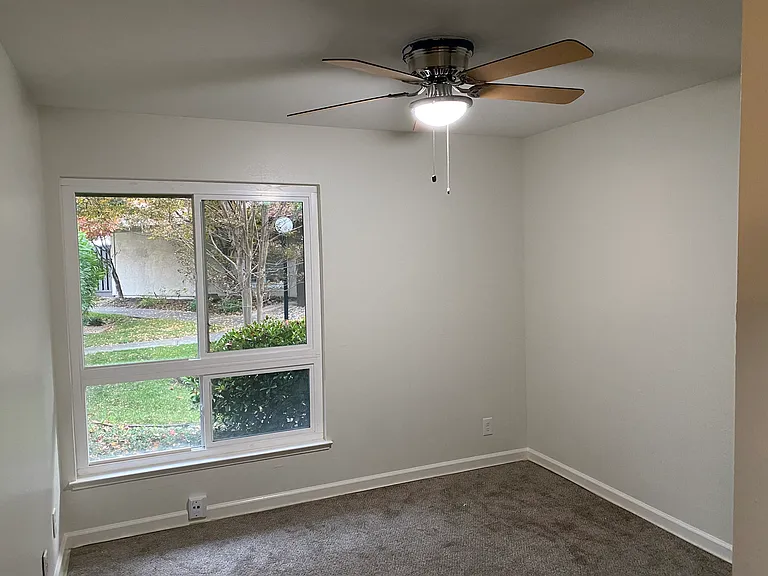 5031 Pine Tree Ter — Photo 21