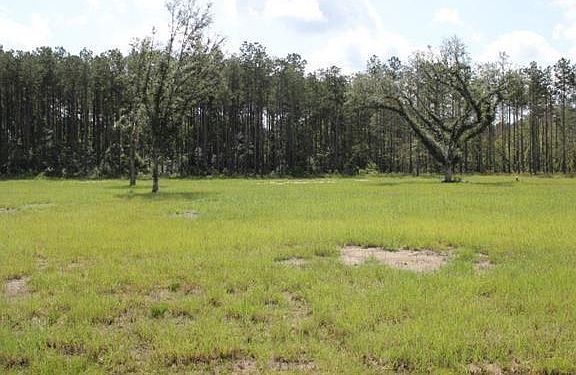 2nd image of 29658 Billy Joe Rd