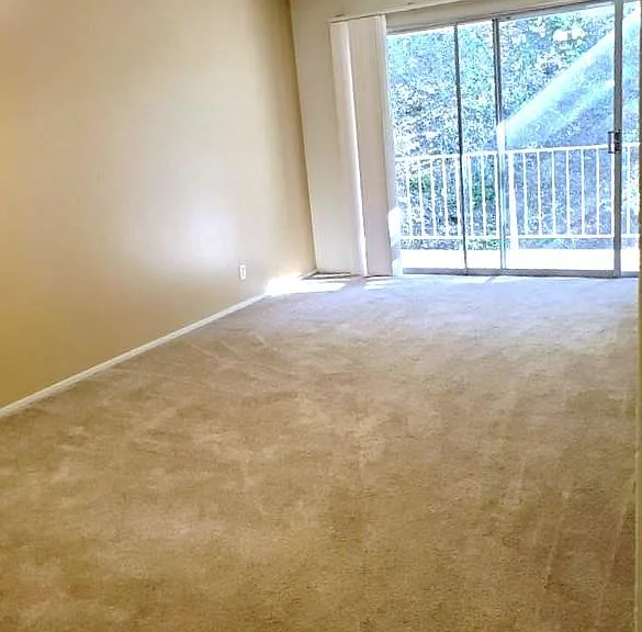 352 Caprino Way #20 — Photo 13